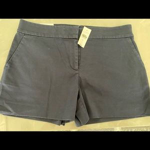 NWT Navy Loft Riviera Shorts 8